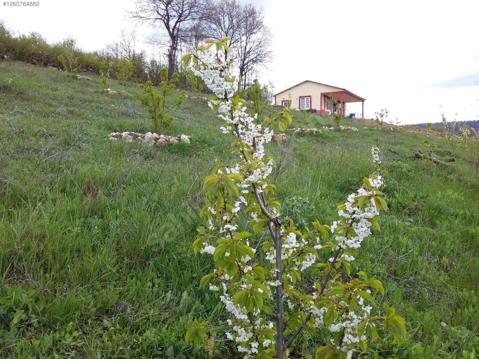 KELES BARAKLI 3928 M2 YAPI KAYITLI SATILIK BAĞ EVİ - BURSA KELES fotoğraf 6