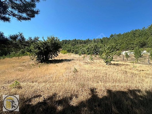 ASLAN EMLAK'TAN SATILIK KÜTAHYA HİSARCIKTA 1509 M2 AĞAÇLI TARLA - KÜTAHYA HİSARCIK fotoğraf 8