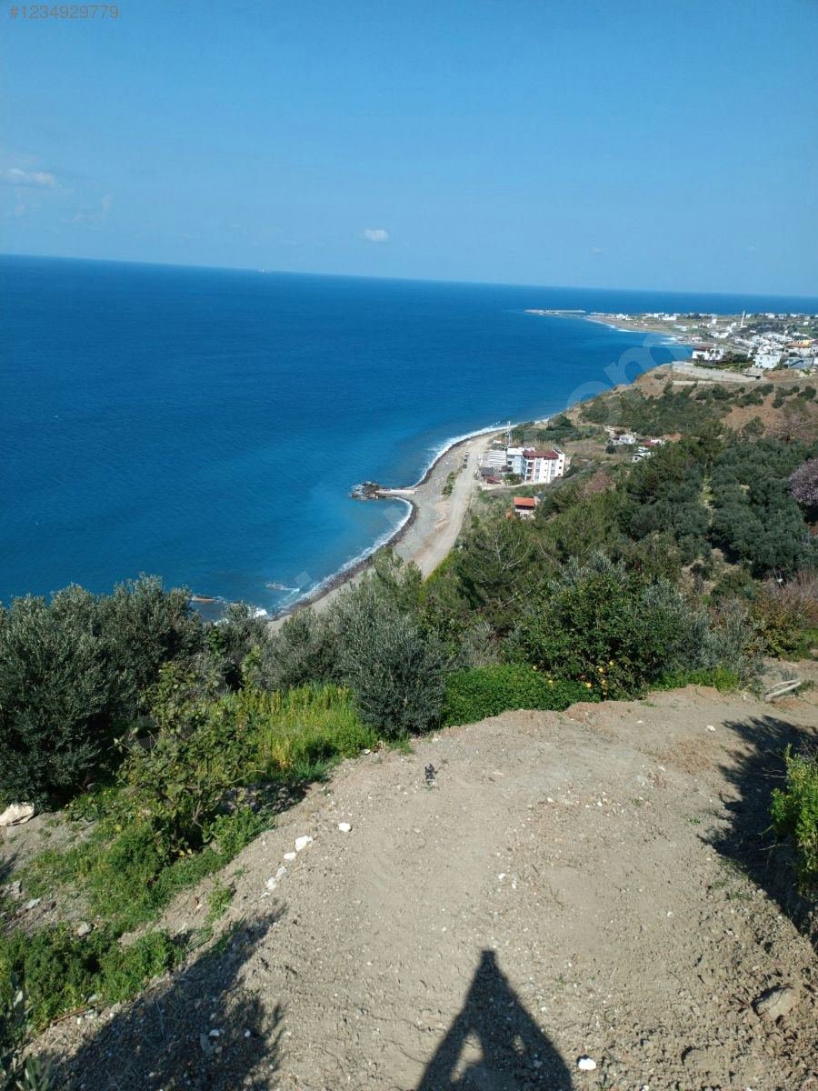 ARSUZDA DENİZE SIFIR ACİL SATILIK ARSA  1.500 M² Hatay / Arsuz / Işıklı Mh. - HATAY ARSUZ fotoğraf 5
