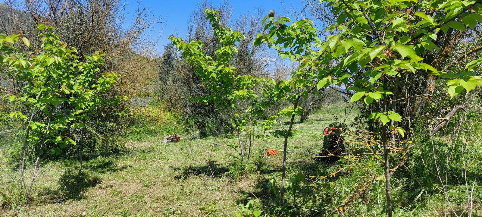 BURSA MUDANYA YALIÇİFTLİK 1.697 M² TARLA SATILIKTIR. - BURSA MUDANYA fotoğraf 17