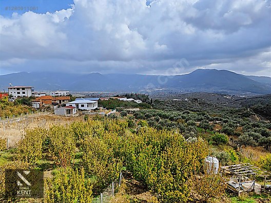 Kemalpaşa Vişneli Satılık 2920 m2 Dubleks Konut Ve Arsa - İZMİR KEMALPAŞA fotoğraf 36