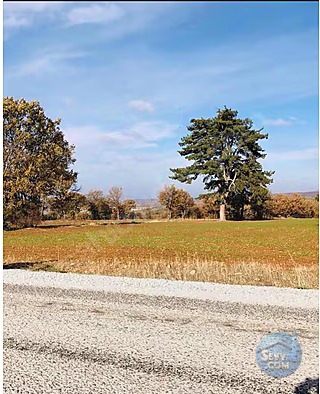 KÜTAHYA MERKEZ TEŞVİKİYE DE 3.012 M² TARLAMIZ SATILIKTIR - KÜTAHYA MERKEZ fotoğraf 7