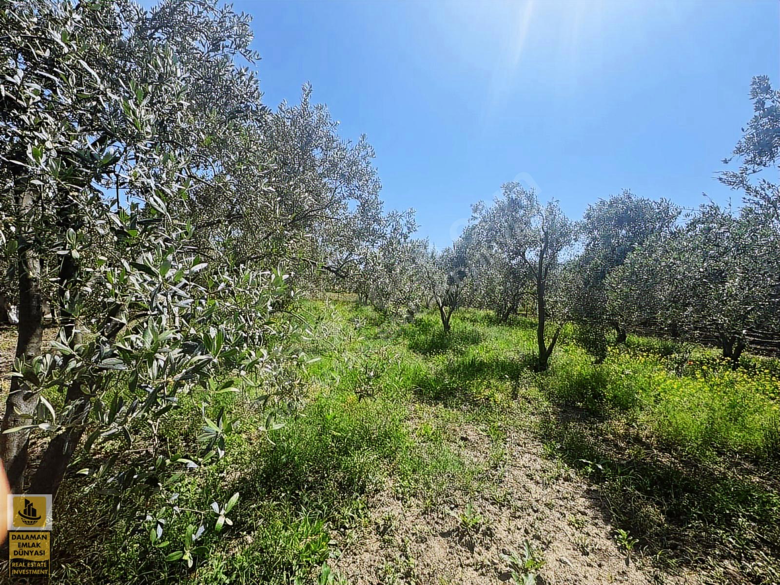 DALAMAN EMLAK DÜNYASINDAN FETHİYE GÜNLÜK BAŞINDA SATILIK TARLA - MUĞLA FETHİYE fotoğraf 8