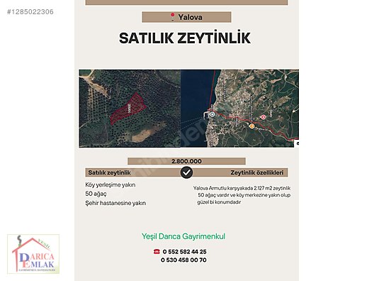 YALOVA KARŞIYAKADA ŞEHİR HASTANESİNE YAKIN ZEYTİNLİK 2.127 M2 - YALOVA ARMUTLU fotoğraf 10