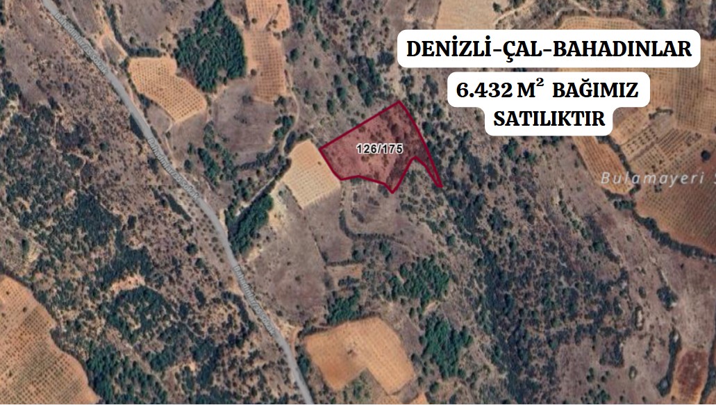DENİZLİ ÇAL BAHADINLAR 6.432 M² BAĞ SATILIKTIR - DENİZLİ ÇAL fotoğraf 2