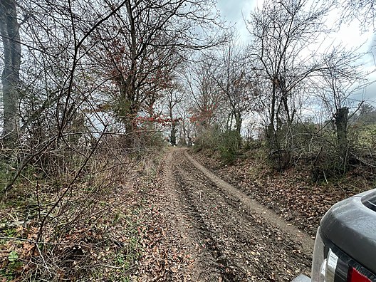 BALIKESİR İVRİNDİ BOZÖREN KÖYÜNDE 2.600 M² TARLA  SATILIKTIR - BALIKESİR İVRİNDİ fotoğraf 10