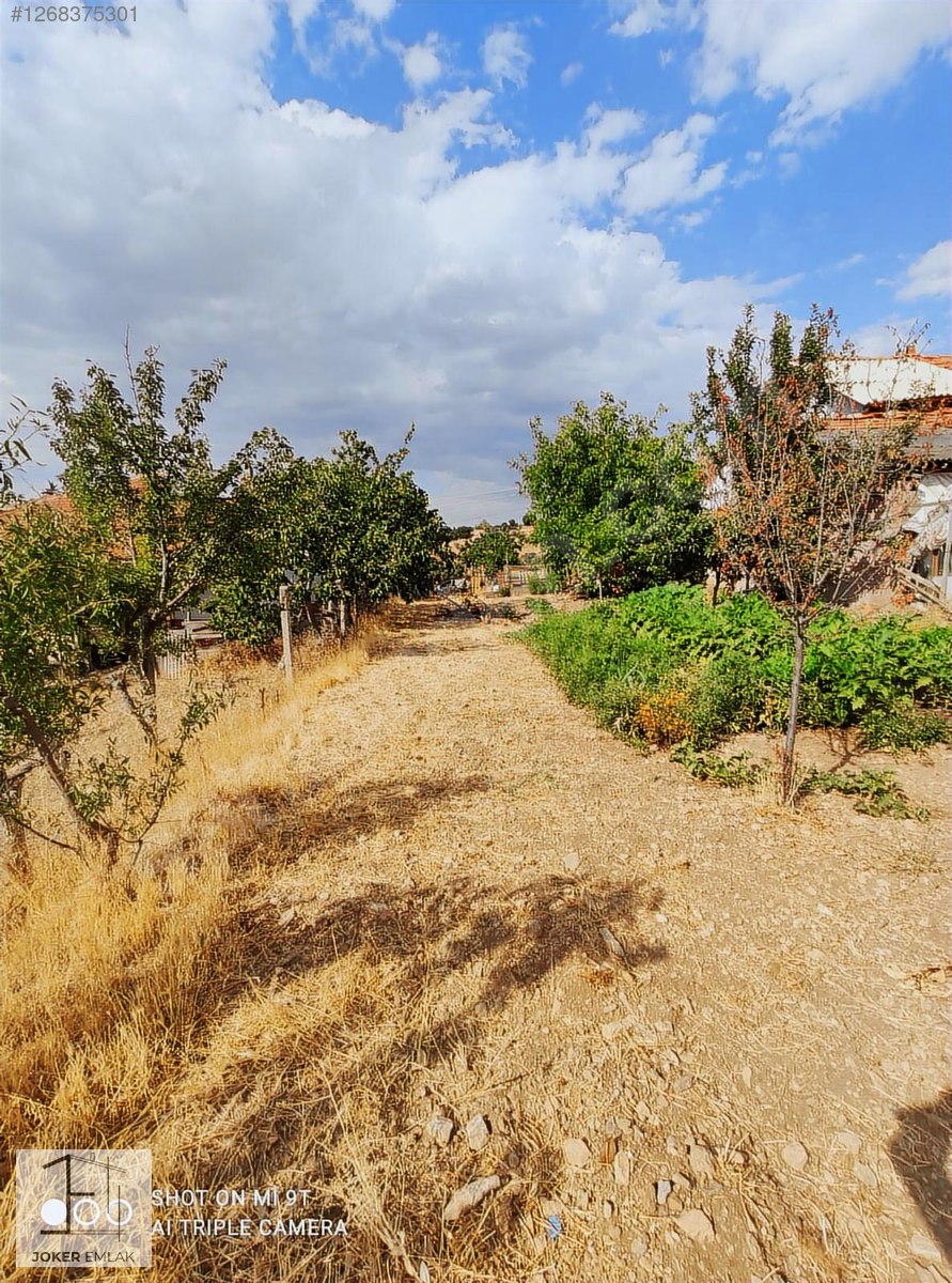 MERKEZ ÇINARCIK KÖYÜNDE 750 m2 SATILIK TARLA - UŞAK MERKEZ fotoğraf 6