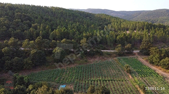 Balıkesir/Gönen'in Doğa İle İç İçe Köyünde 9.050 m² ve 7.260 m² Sulu(Pompaj) Tar - BALIKESİR GÖNEN fotoğraf 2