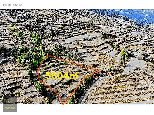 ANTALYA GAZİPAŞA KARATEPE'DE 5.604 M2 UYGUN ARSA - ANTALYA GAZİPAŞA fotoğraf 3