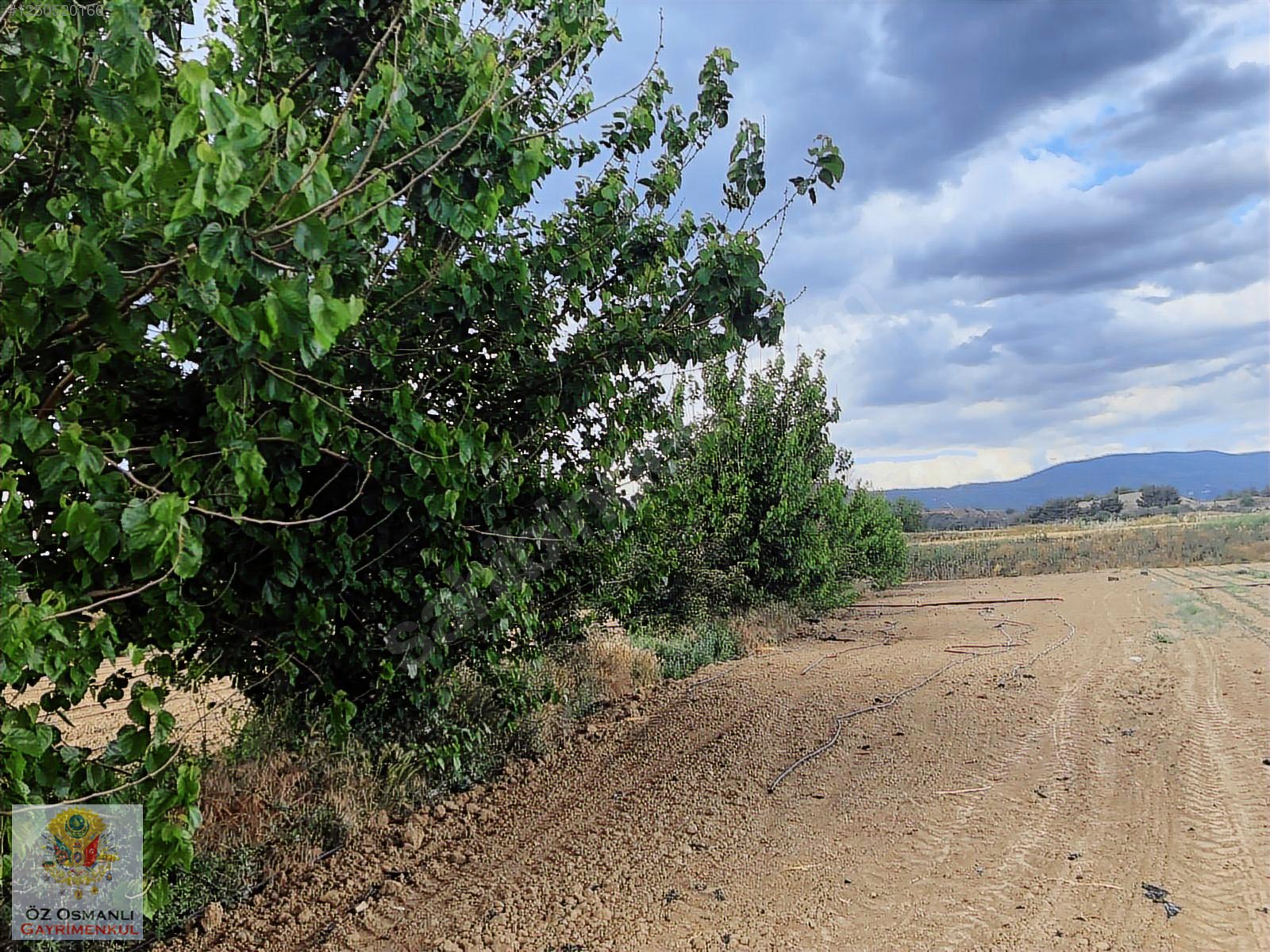 600 M2 NEHİR KENARI RESMİ YOLU OLAN MERKEZE YAKIN TARLA - BİLECİK OSMANELİ fotoğraf 9