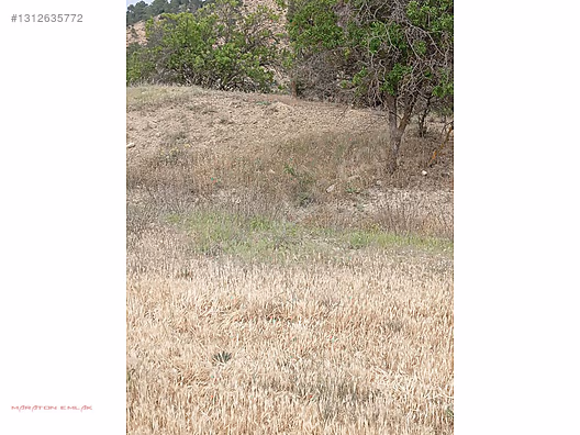 KEMER KAYI KÖYÜNDE YERLEŞİM YERİ İÇİNDE 7500 M2 SUYU MEVCUT - BURDUR KEMER fotoğraf 5