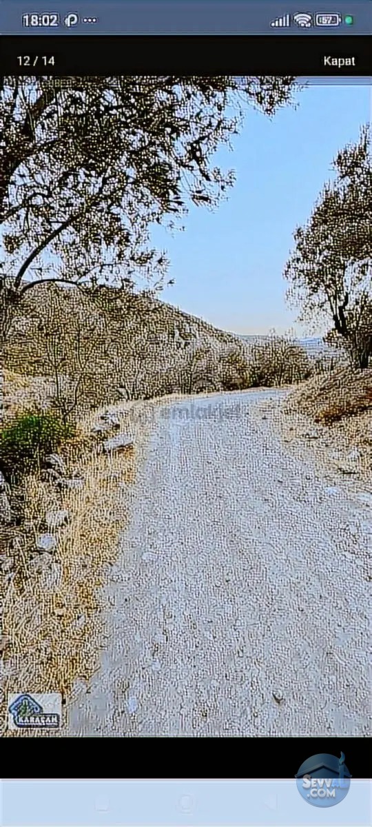 Burhaniye Kuyucakta Acil Satılık Zeytinlik - BALIKESİR BURHANİYE fotoğraf 5