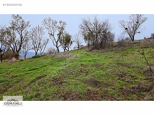 RESMİ YOLLU 800 M2 MANZARALI HOBİ BAHÇESİ - BİLECİK GÖLPAZARI fotoğraf 18