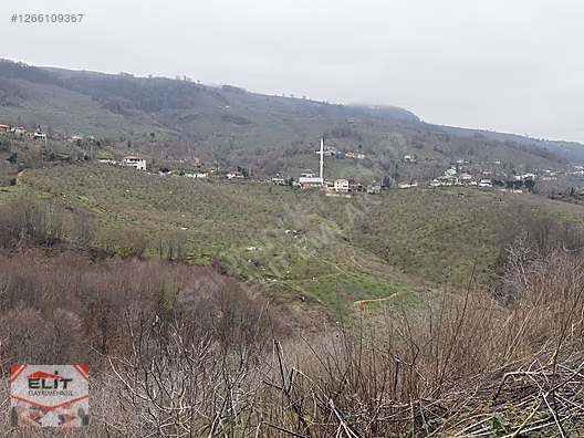 DÜZCE AKÇAKOCA DA EV YAPIMINA UYGUN SATILIK 7.768 M2 FINDIKLIK - DÜZCE AKÇAKOCA fotoğraf 14