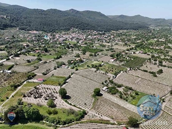 KUŞADASI KİRAZLI da SATILIK ÜZÜM BAĞI ANA YOLA YAKIN - AYDIN KUŞADASI fotoğraf 19