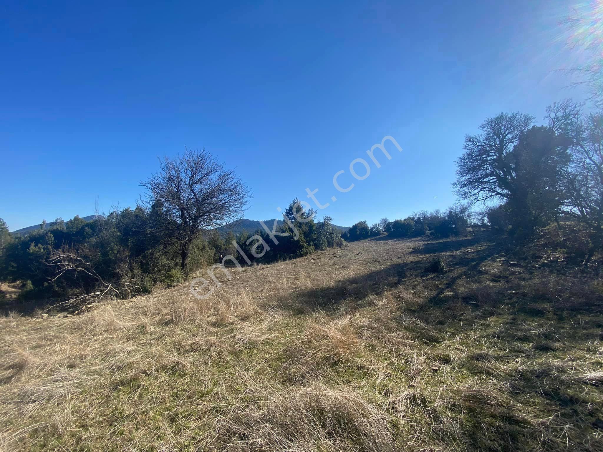 Burdur Ağlasun Hisarköy 6.700 M2 Baraja Yakın Satılık Yatırımlık Tarla - BURDUR AĞLASUN fotoğraf 2
