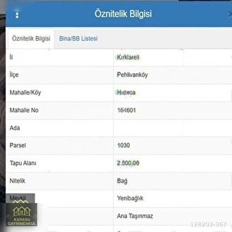 MÜSTAKİL TAPU KIRKLARELİ PEHLİVANKÖY HIDIRCA 2500 M2 - KIRKLARELİ PEHLİVANKÖY fotoğraf 12