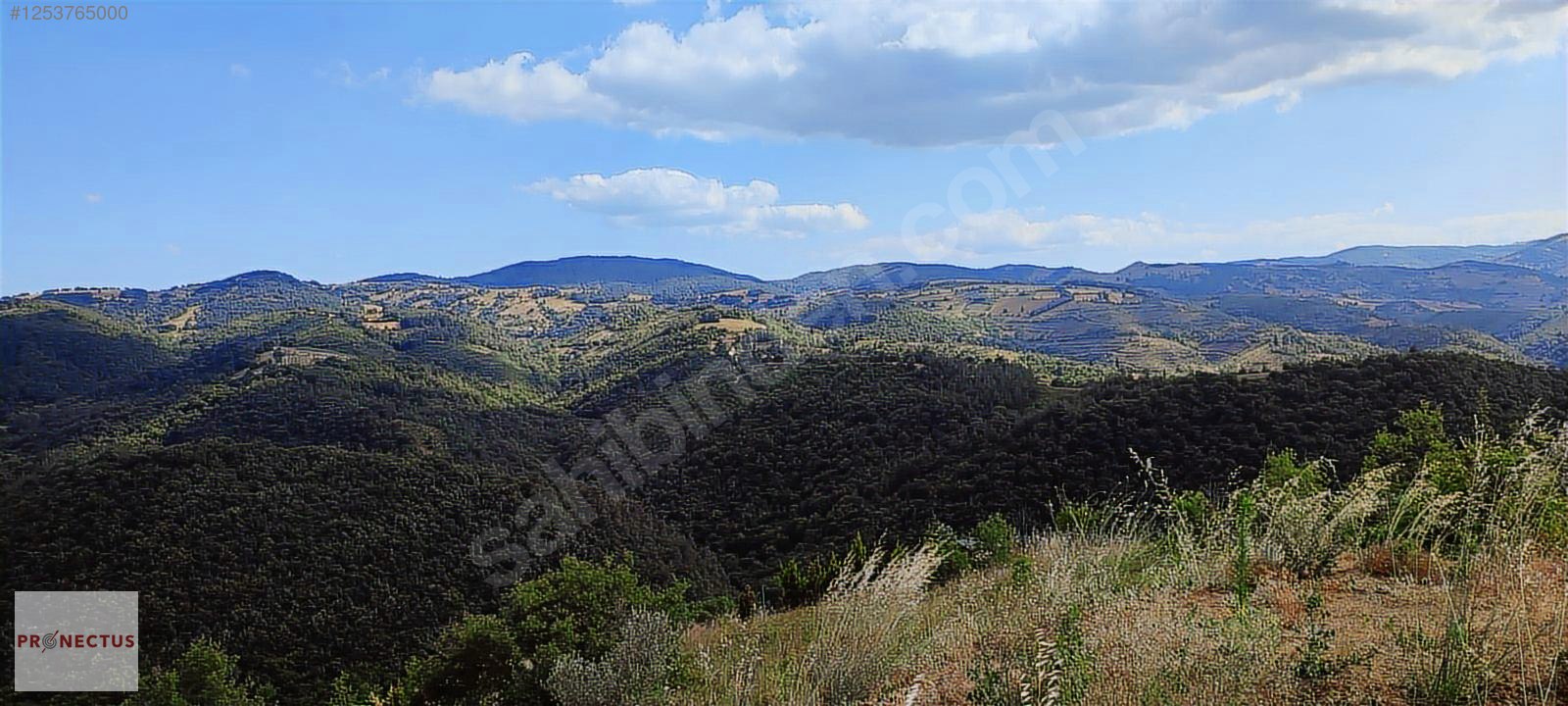 ÇAMDİBİ BOZKURT MAH. 1448 M2 %5 İMARLI ARSA. - KOCAELİ KARAMÜRSEL fotoğraf 10