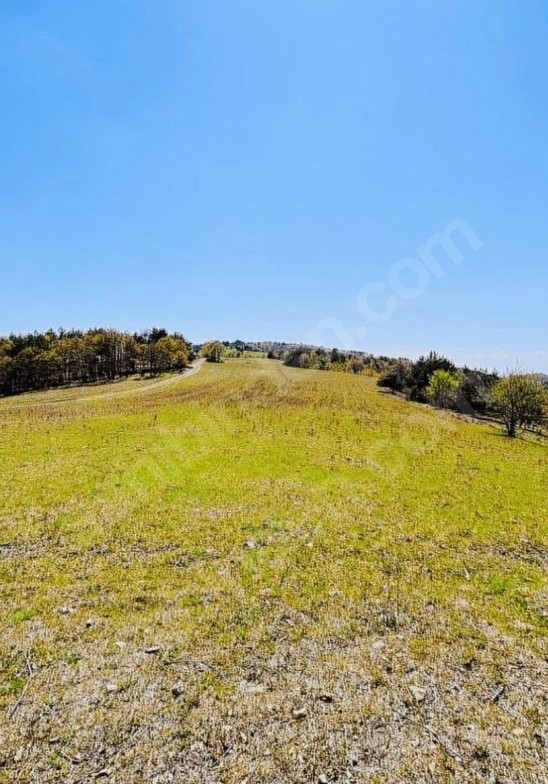 BURSA İZNİK SANSARAK  8.660  M² TARLAMIZ SATILIKTIR - BURSA İZNİK fotoğraf 8