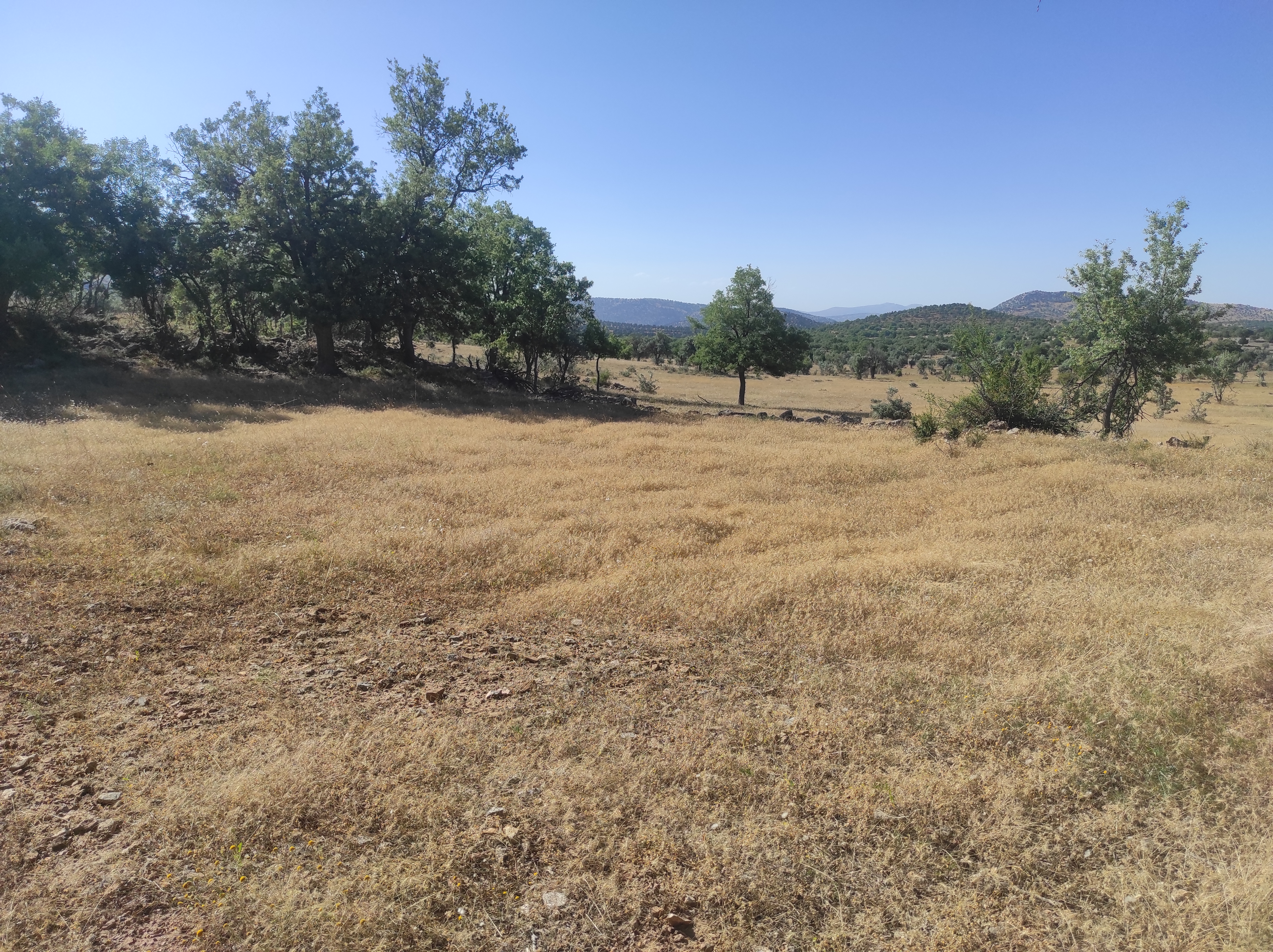 KONYA BOZKIR HACILAR  KÖYÜ’NDE 477 M² TARLA SATILIKTIR  - KONYA BOZKIR fotoğraf 11