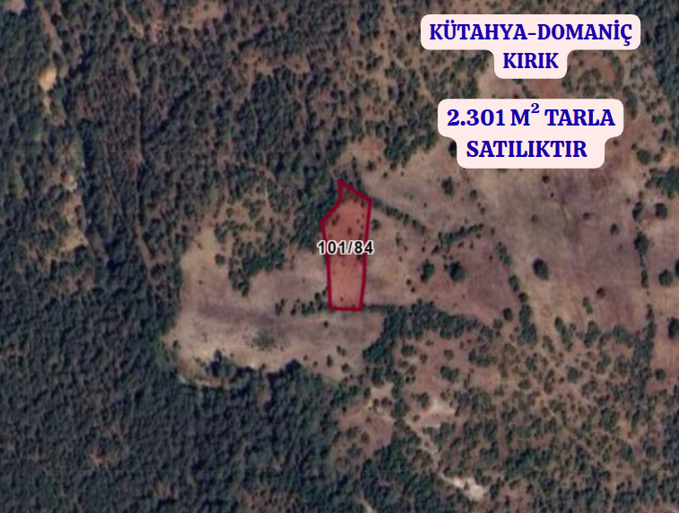 KÜTAHYA DOMANİÇ KIRIK  KÖYÜNDE 2.301 M² TARLA SATILIKTIR - KÜTAHYA DOMANİÇ fotoğraf 2