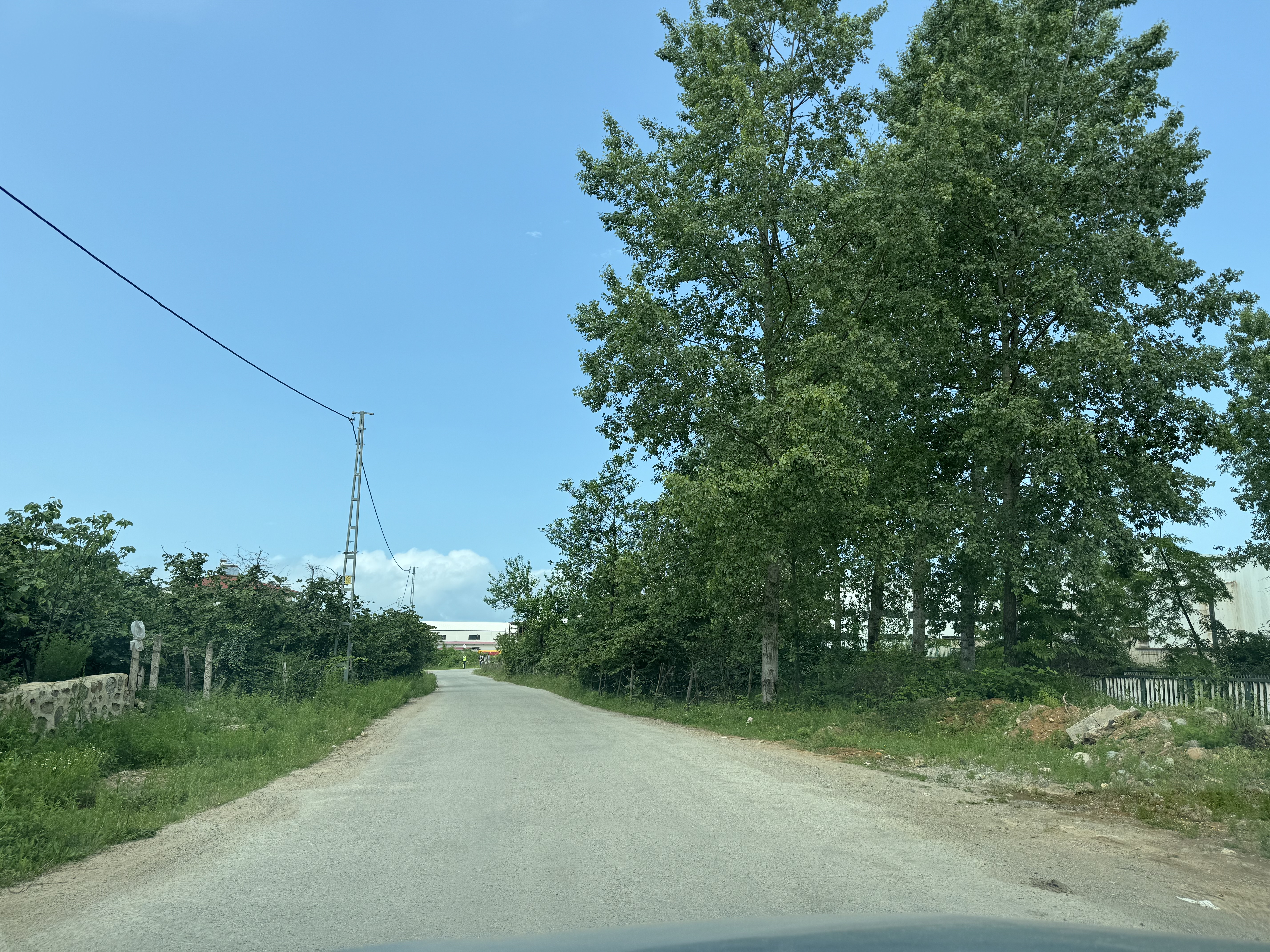 PIRAZIZ MADEN M.H SATILIK 480m ARSA - GİRESUN PİRAZİZ fotoğraf 20