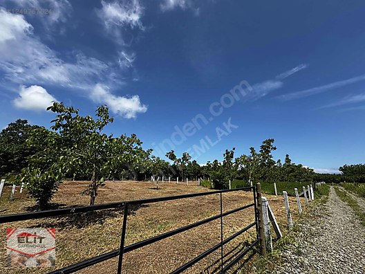 KARASU KUYUMCULUDA SATILIK 463 M2 FIRSAT ARSA - SAKARYA KARASU fotoğraf 10