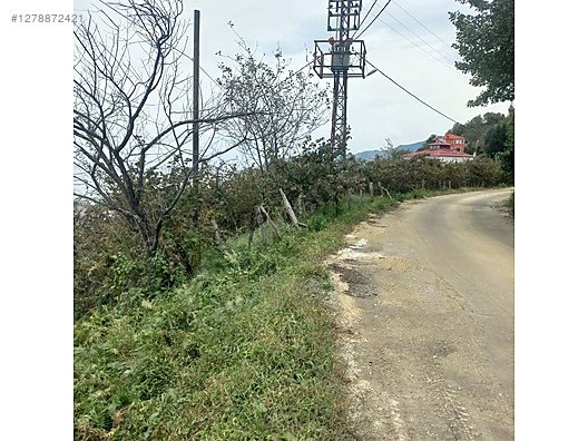 TİREBOLU KÖRLİMAN MAHALLESİNDE DENİZ MANZARALI SATILIK BAHÇE - GİRESUN TİREBOLU fotoğraf 4