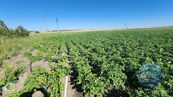🚨 KÜTAHYA'DA ANAYOLA CEPHELİ 6.152 M² VERİMLİ TARLA 🚨 - KÜTAHYA MERKEZ fotoğraf 23
