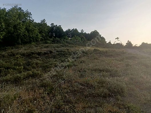 BURSA KESTEL KAYACIK KÖYÜ’NDE 5.523 M²  TARLA SATILIKTIR - BURSA KESTEL fotoğraf 3