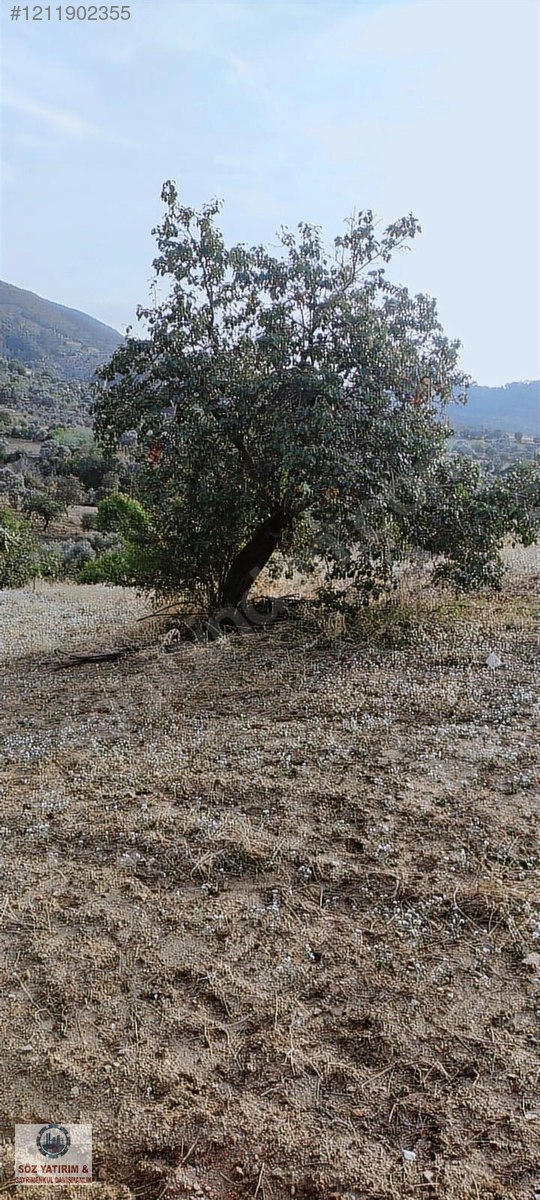 SÖZ GAYRİMENKULDEN; BAYINDIR ALANKÖY ASFALT YOLA SIFIR TEK TAPU, - İZMİR BAYINDIR fotoğraf 2
