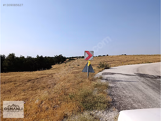 ASFALT KENRARI, DOĞA İÇERİSİNDE,4.200 M2 SATILIK ARAZİ - BİLECİK SÖĞÜT fotoğraf 3