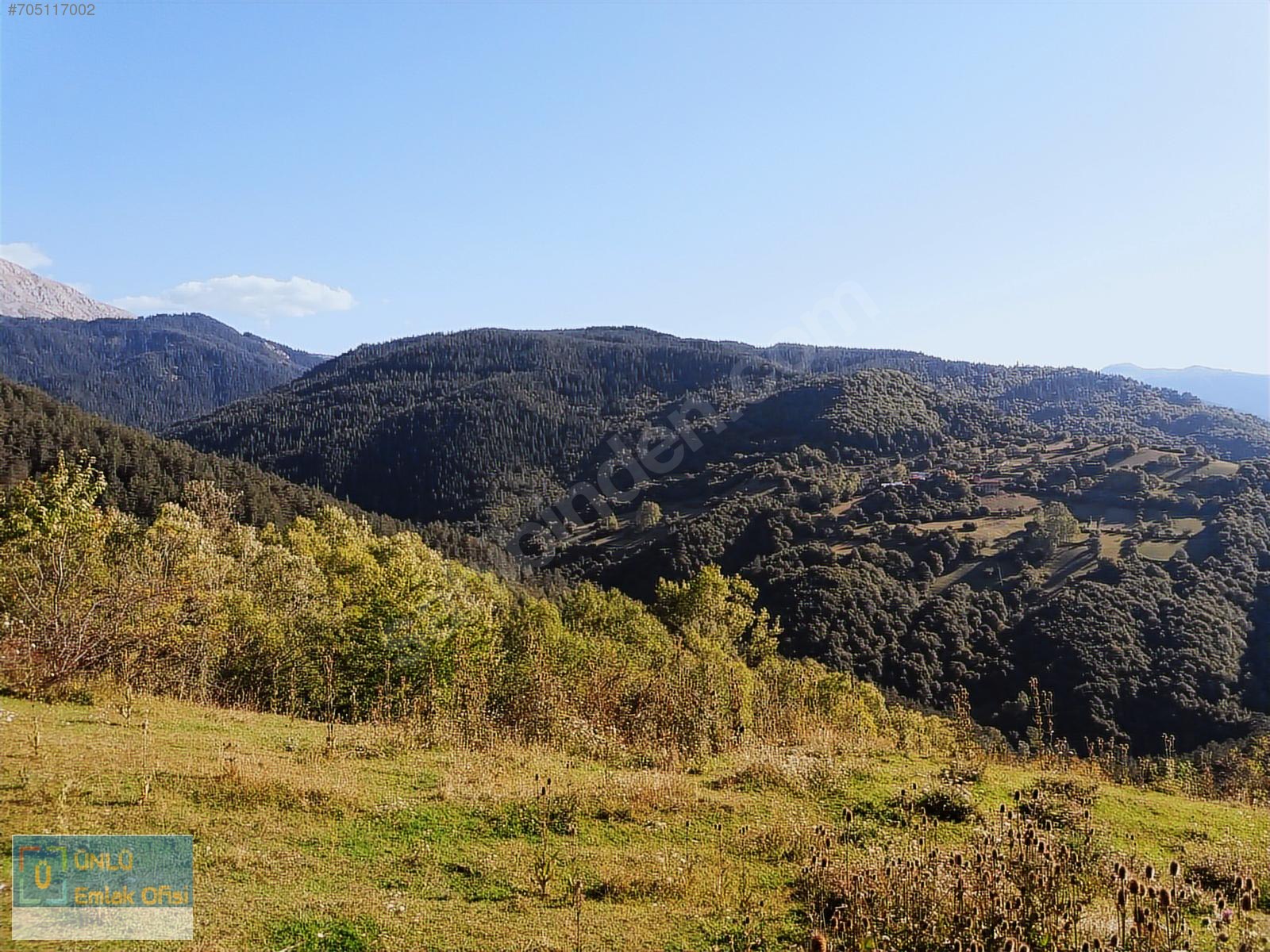 ÜNLÜ EMLAKTAN ILGAZ MANZARALI ORMAN İÇİNDE 50 DÖNÜM CAZİP ARAZİ - KASTAMONU MERKEZ fotoğraf 27