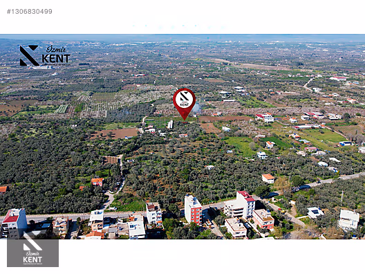 Kemalpaşa Ören Satılık Zeytinlik 1.230 m2 - İZMİR KEMALPAŞA fotoğraf 24