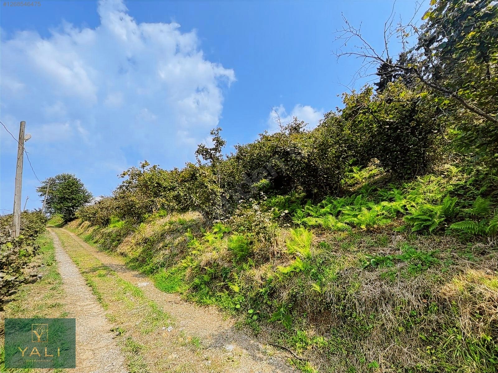 GİRESUN MERKEZ YALIKÖY MEVKİİ SATILIK ARAZİ - GİRESUN MERKEZ fotoğraf 2