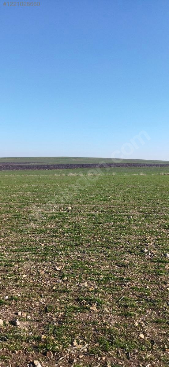 EDİRNE LALAPAŞA ORTAKÇI KÖYÜ'NDE  22.750 M² TARLAMIZ SATILIKTIR - EDİRNE LALAPAŞA fotoğraf 5