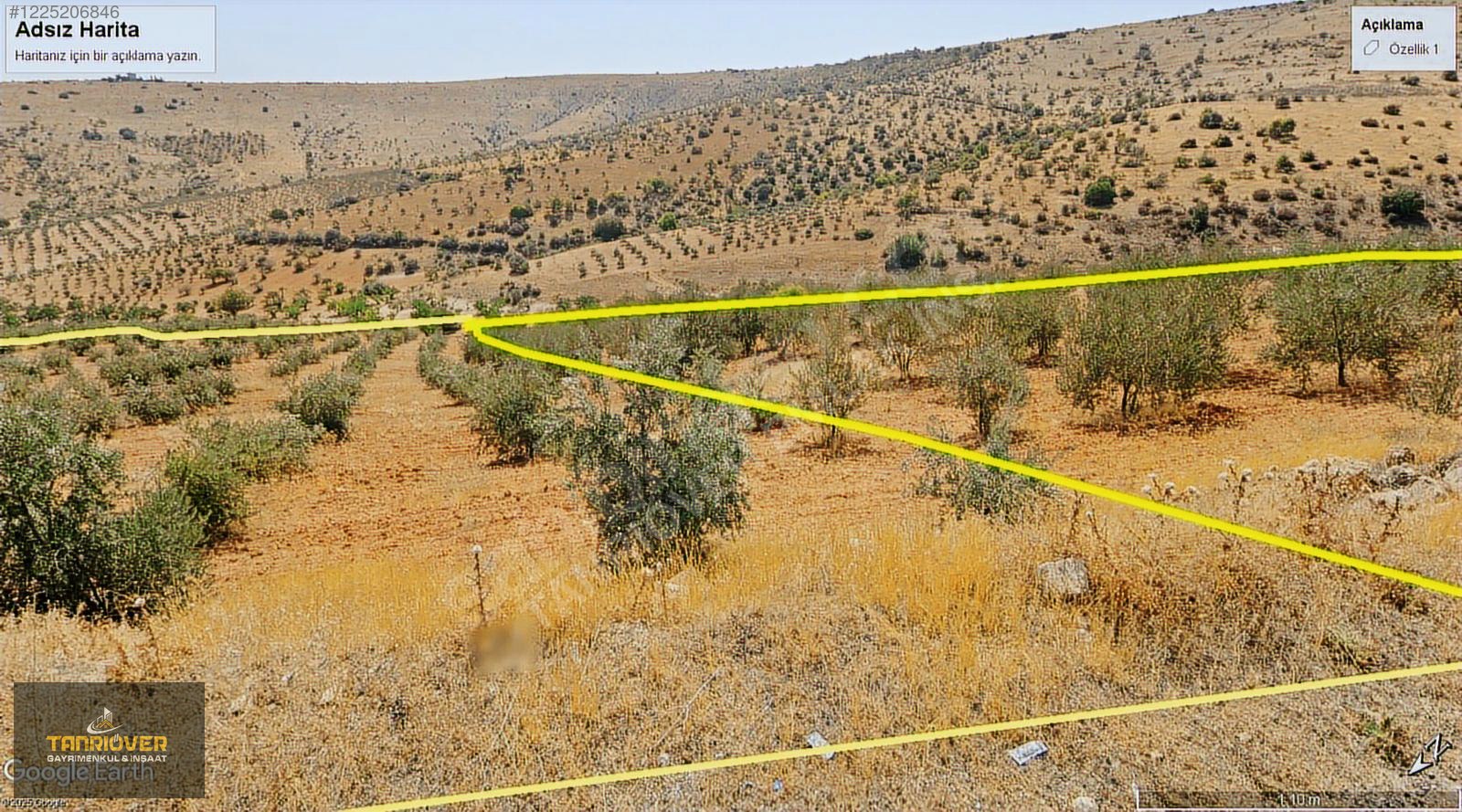 NİZİP SALKIMDA TANRIÖVER GAYRİMENKUL YOL KENARI YATIRIMLIK ARAZİ - GAZİANTEP NİZİP fotoğraf 4