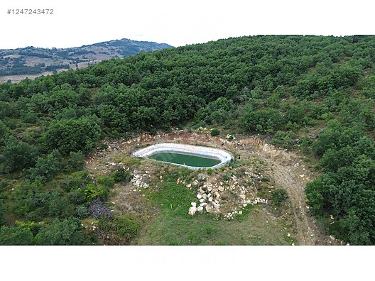 BURSA İZNİK ÖMERLİ MAHALLESİ'NDE  40.000 M² TARLAMIZ SATILIKTIR - BURSA İZNİK fotoğraf 7
