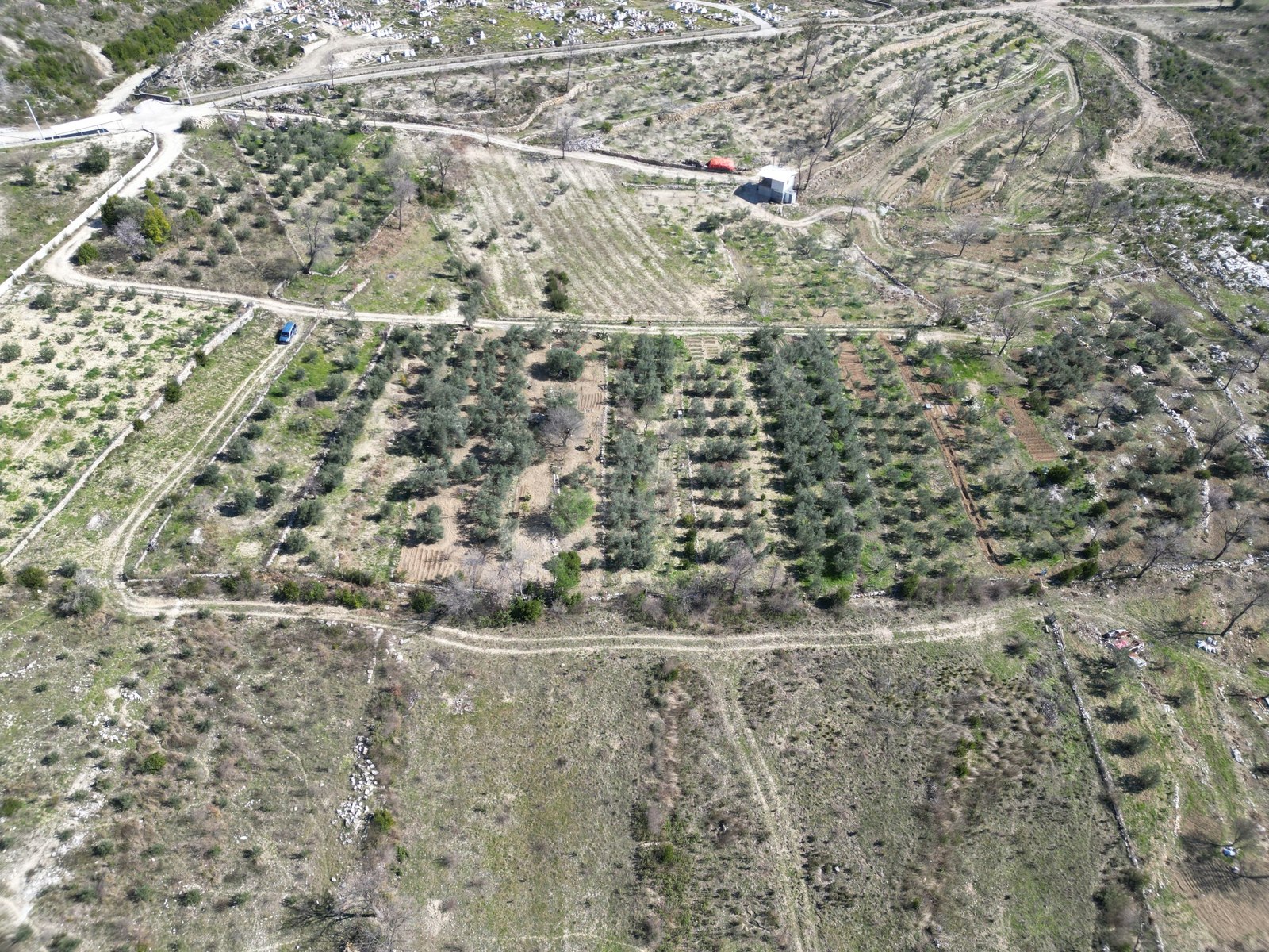 Antalya / Manavgat / Yaylaalan Mahallesinde 840 m² SATILIK TARSA  - ANTALYA MANAVGAT fotoğraf 12