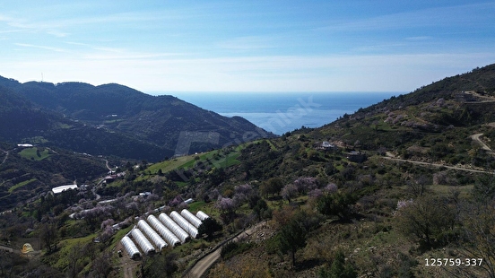 ANAMUR UCARIDA SATILIK 11500 M2 TARLA - MERSİN ANAMUR fotoğraf 6