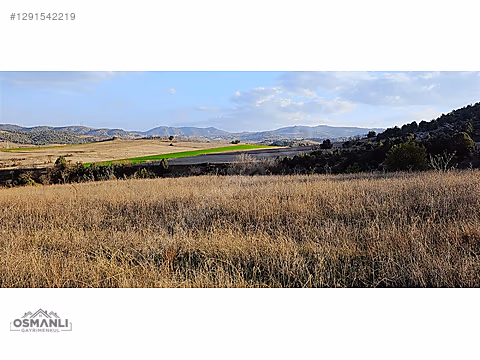 7.480 M2, RESMİ YOLA CEPHELİ, MANZARALI, %5 İMARLI SATILIK ARAZİ - BİLECİK SÖĞÜT fotoğraf 8