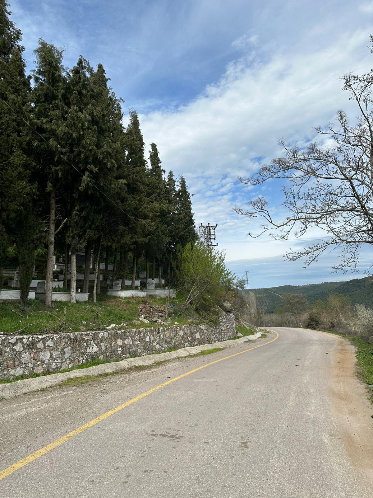 BALIKESİR ALTIEYLÜL DEDEBURNU   KÖYÜNDE 1.969  M²  TARLA  SATILIKTIR - BALIKESİR ALTIEYLÜL fotoğraf 16