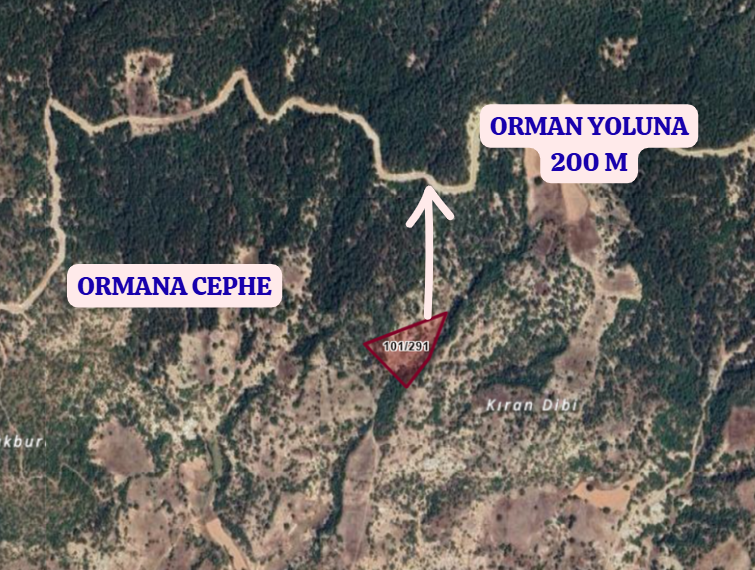 KÜTAHYA DOMANİÇ KIRIK  KÖYÜNDE 7.775 M² TARLA SATILIKTIR - KÜTAHYA DOMANİÇ fotoğraf 3