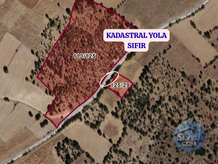 UŞAK KARAHALLI BEKİ  KÖYÜNDE 1.707 M²  TARLA  SATILIKTIR - UŞAK KARAHALLI fotoğraf 3