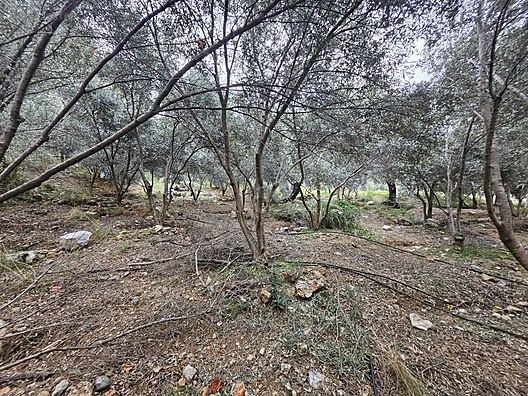 MUHTESEM LOKASYON 258M2 SUPER YATİRİM DUNYA GÖZBEBEĞİ VİLLA ARSA - MUĞLA FETHİYE fotoğraf 24