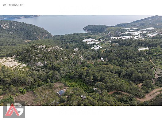 Doğanın İçinde, Deniz Gören, Elektrik ve Suyu Hazır Fırsat Arazi - ANTALYA KUMLUCA fotoğraf 10