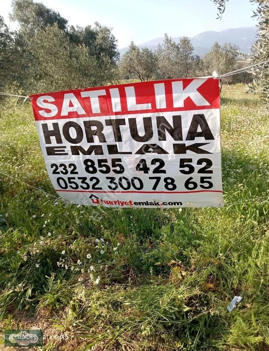 İzmir Torbalı Karakızlar Köyünde 5.500m2 Zeytinlik Satılık - İZMİR TORBALI fotoğraf 7