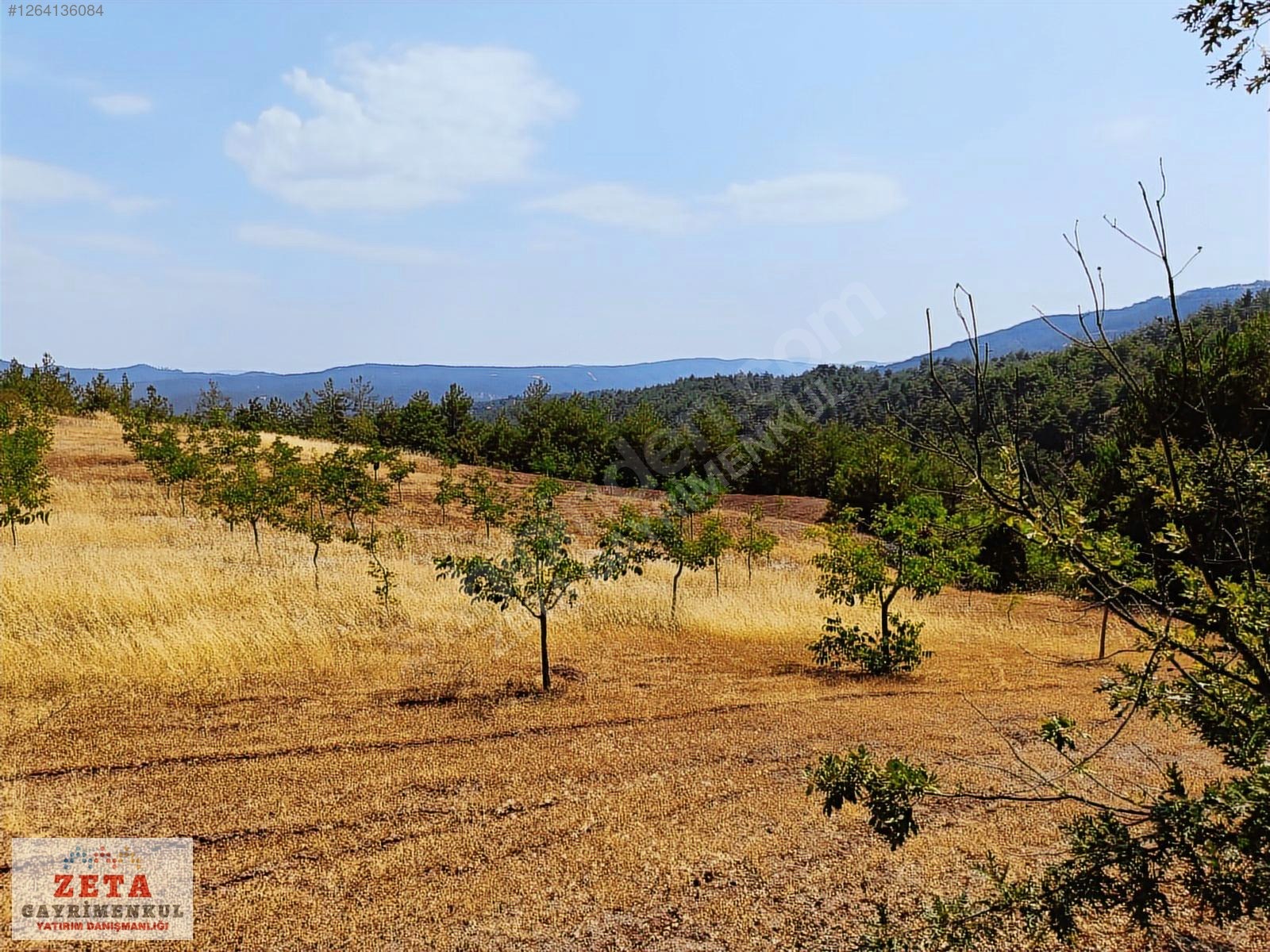 Sakarya Taraklı'da 11.240 m² Yatırımlık Tarla - SAKARYA TARAKLI fotoğraf 2