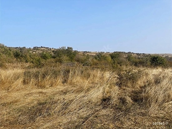 SÜLEYMANDANIŞMENT KÖYÜNDE 1326 M2 BAĞ TAPU YATIRIMLIK ARAZİ - EDİRNE LALAPAŞA fotoğraf 4