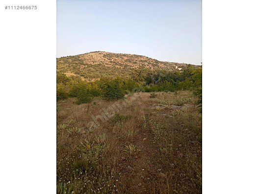 DENİZLİ BEKİLLİ DEŞDEMİR KÖYÜNDE  5.489 M²   TARLA SATILIKTIR - DENİZLİ BEKİLLİ fotoğraf 3